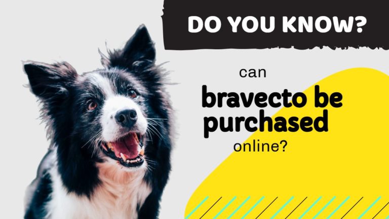 can bravecto be purchased online