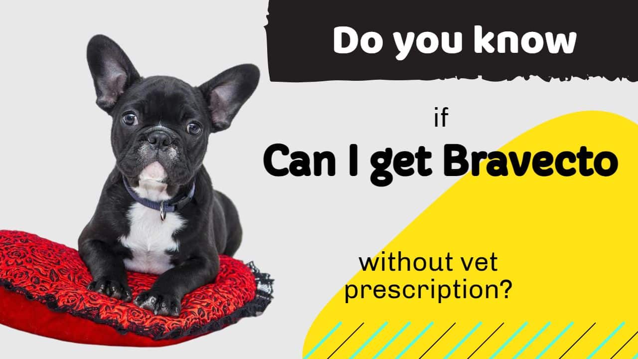 Can I get Bravecto without vet prescription