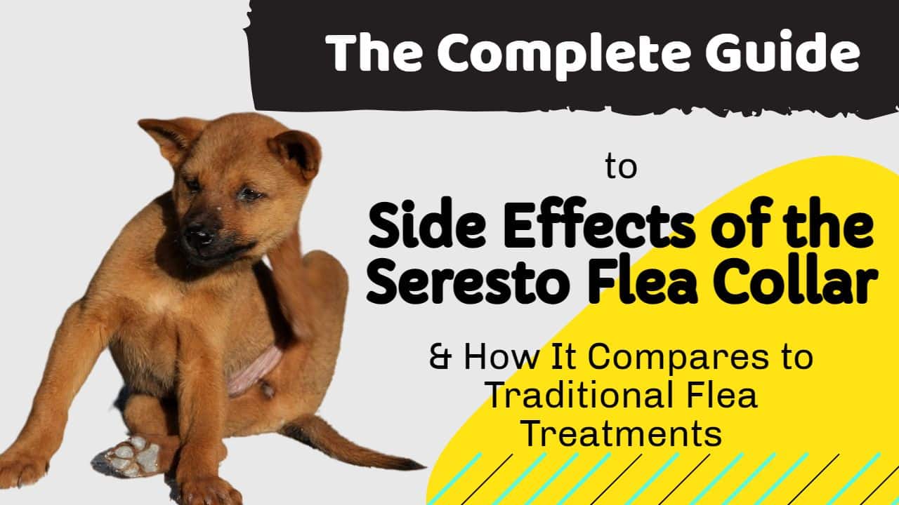 What are the side effects of the Seresto flea collar?