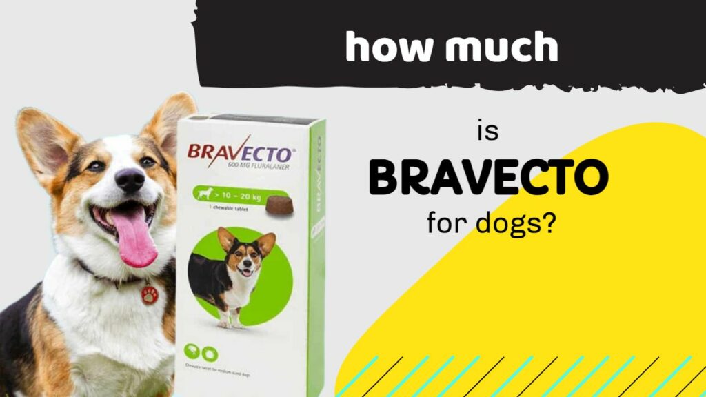 how much is bravecto for dogs?