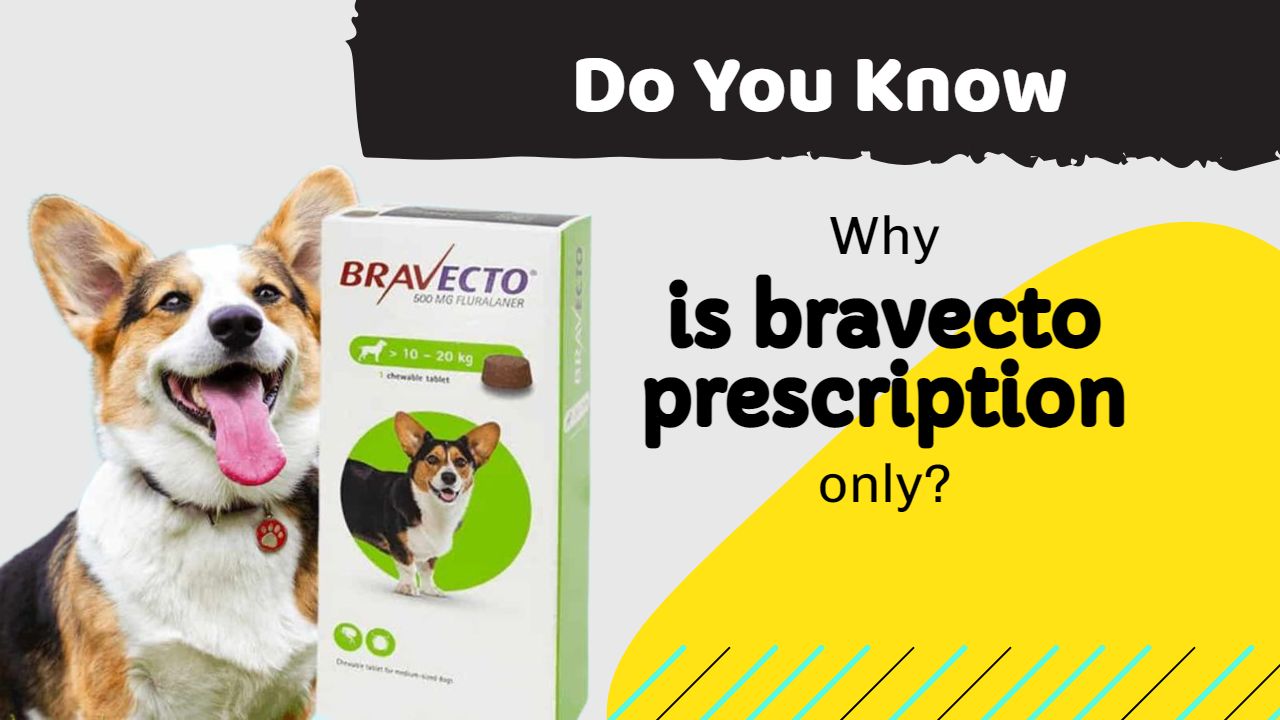why is bravecto prescription only