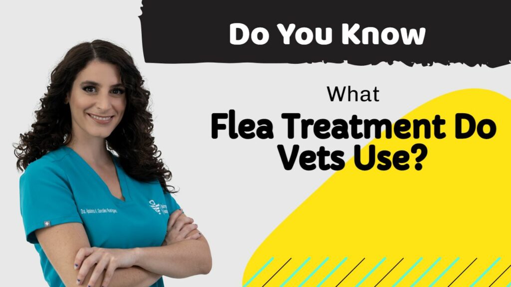 What Flea Treatment Do Vets Use