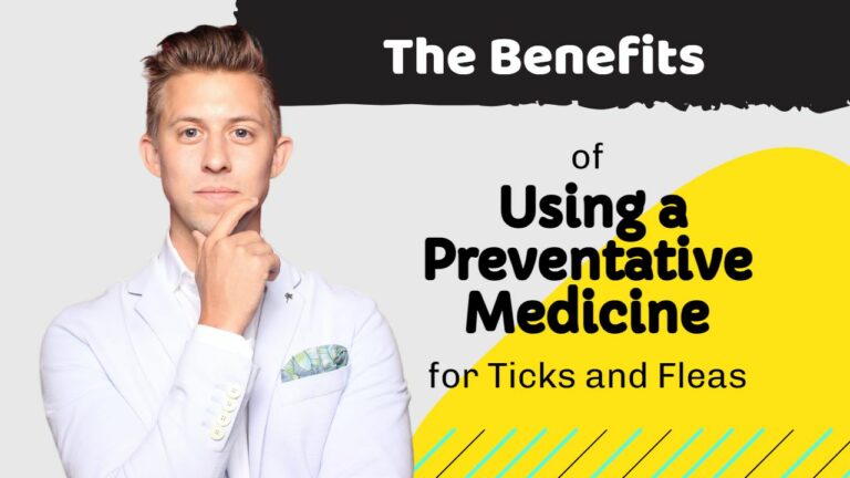 The Benefits of Using a Preventative Medicine for Ticks and Fleas