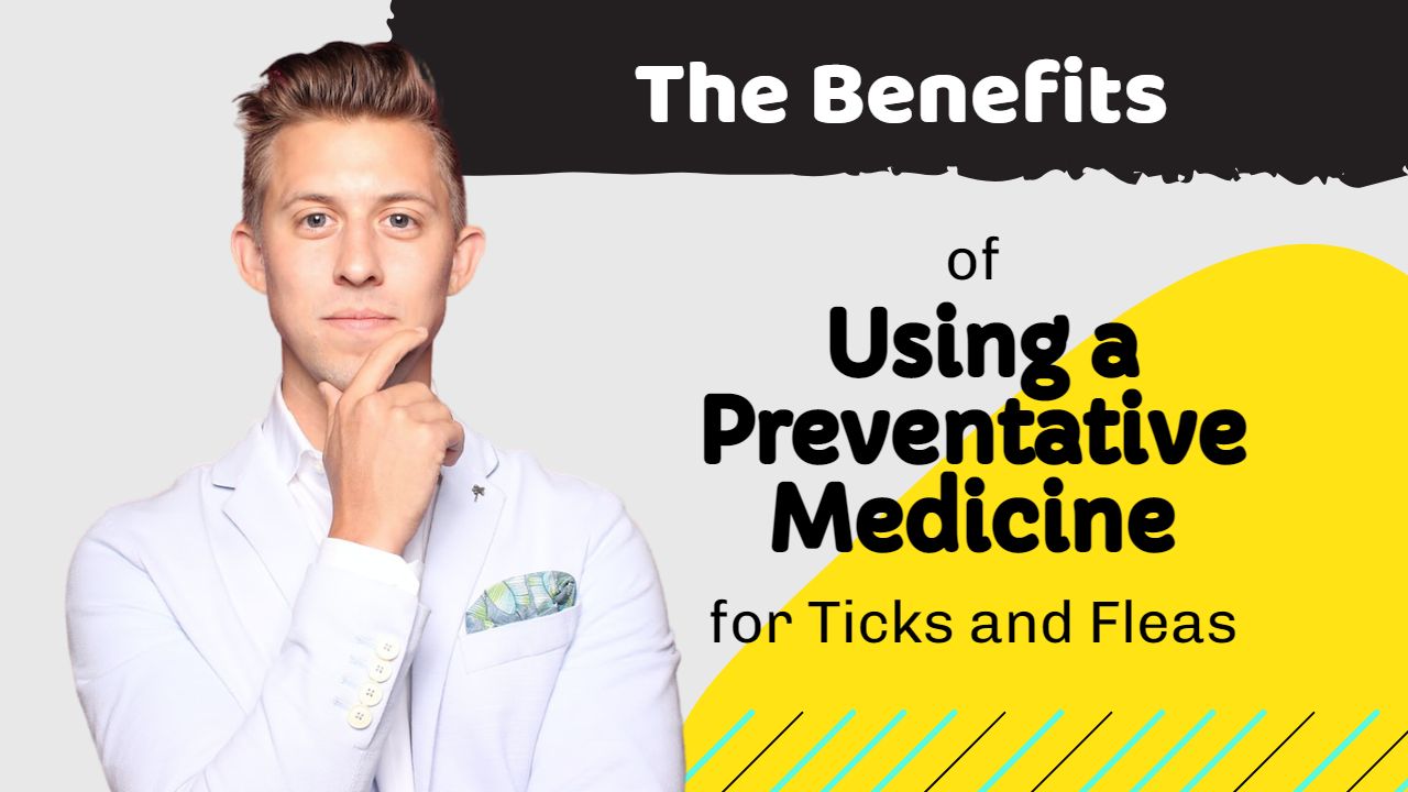 The Benefits of Using a Preventative Medicine for Ticks and Fleas