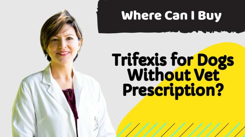 Trifexis for Dogs without a Vet Prescription